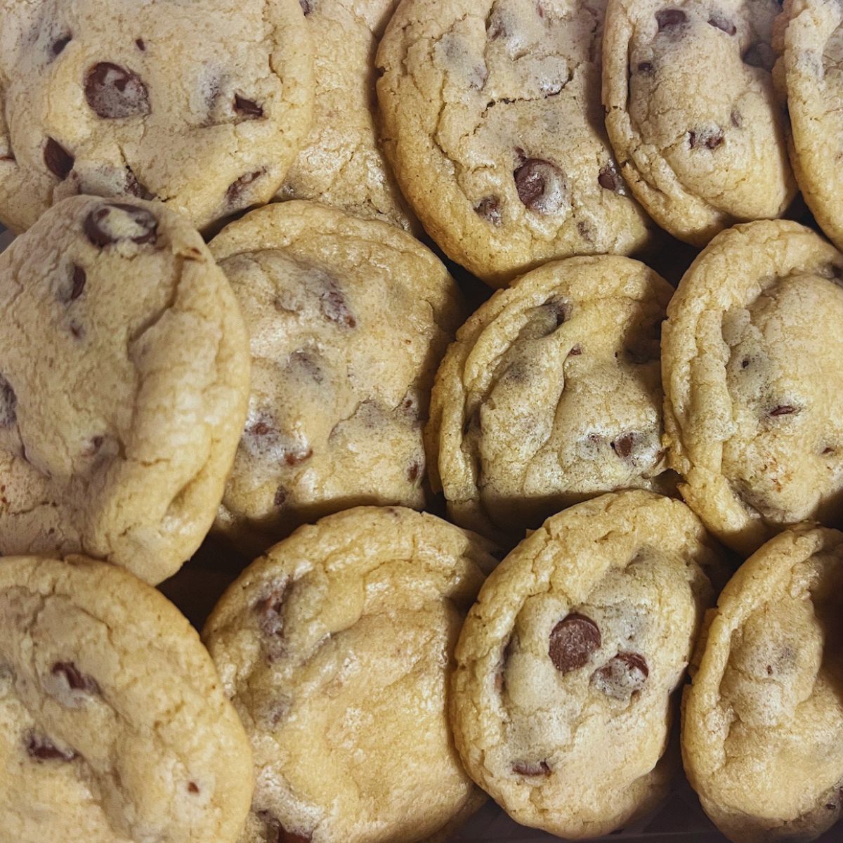 Close-up of chocolate chip cookies