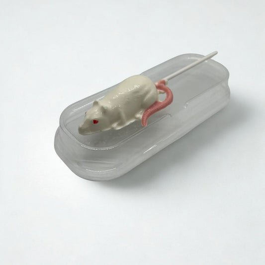Model of a mouse in a transparent container on a white background